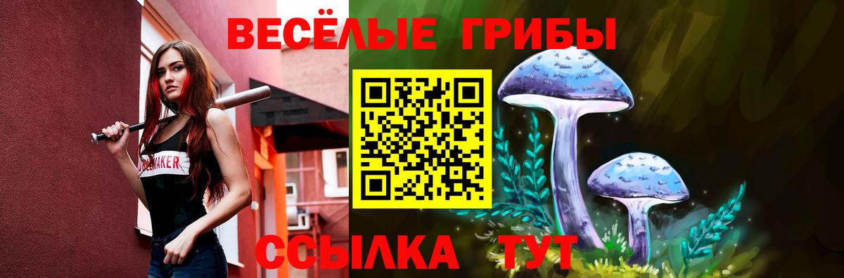 Лиски  Галлюциногенные грибы мицелий  купить наркоту  Вход с VPN 
